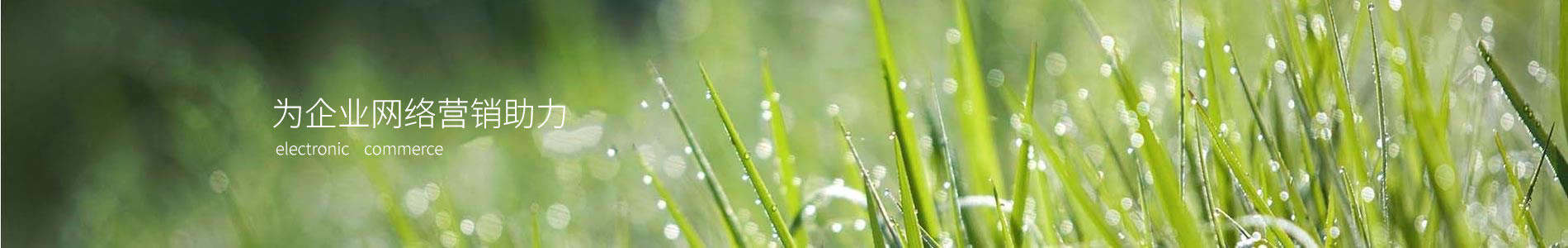 ̫ԭǵӿƼ޹˾